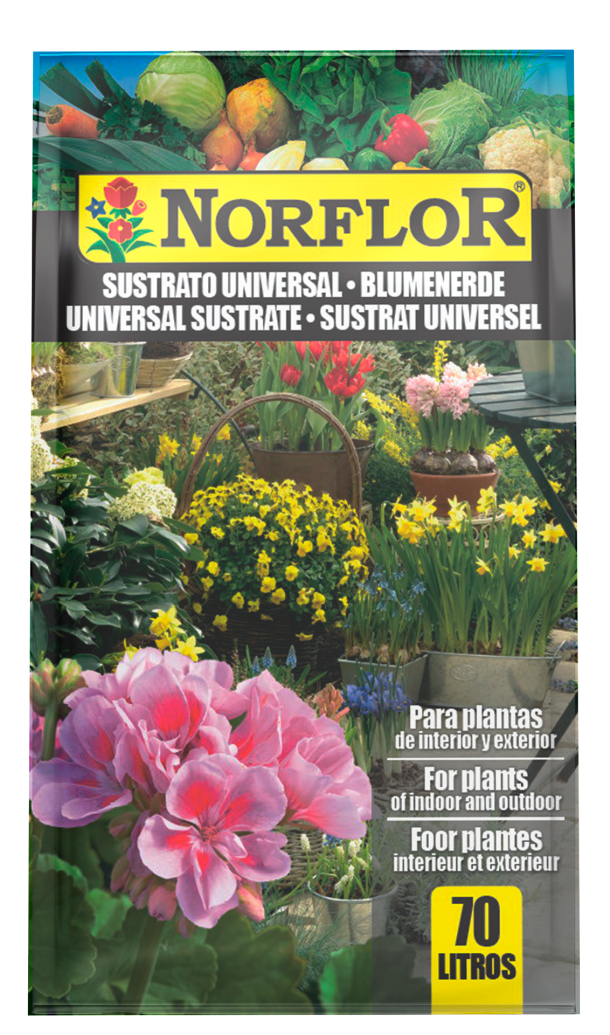 Foto saco Norflor